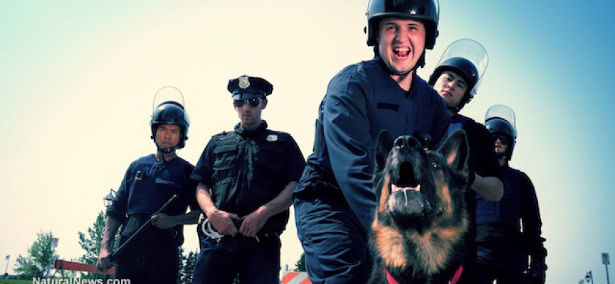 Drug-sniffing dogs are a law enforcement hoax, signaling drug alerts even when no drugs are present