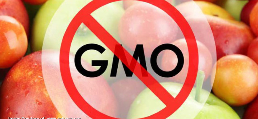 Russian government to outlaw all GMO food products to protect citizens' health