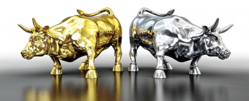 GOLD & SILVER BULL CATALYST: A Tidal Wave Of Money Will Pour Into This Sector