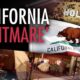 CALIFORNIA DREAM OR A NIGHTMARE? This Is How Bad It Has Gotten In The United States