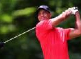 Tiger 'only going to get better', says niece