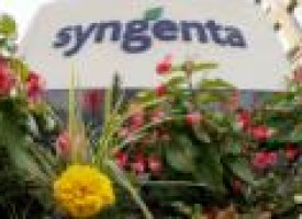 Syngenta may seek partners, JVs after product review: chairman in paper