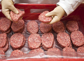 Consumer Reports finds hamburger from grass-fed and organic cattle poses fewer health risks