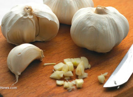 Garlic naturally obliterates antibiotic-resistant urinary tract infections where Big Pharma fails