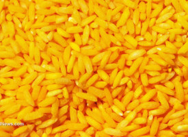 Journal retraction of unethical Golden Rice study by deceitful scientist approved by judge