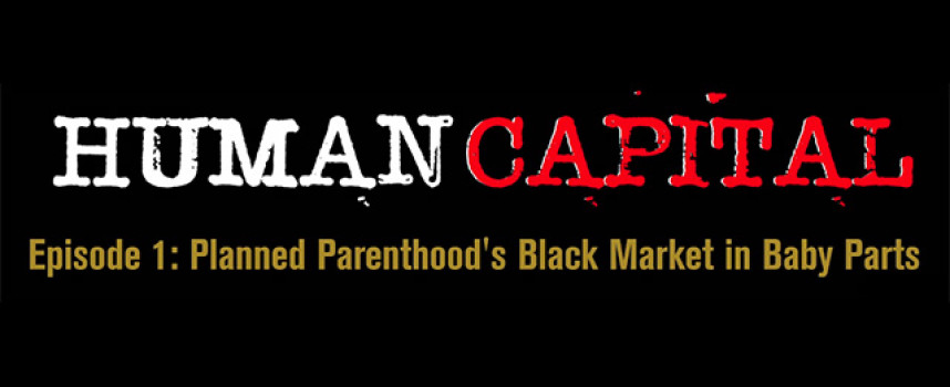 If you're outraged over the killing of Cecil the Lion, but NOT over Planned Parenthood murdering babies for organ harvesting, you're mentally ill