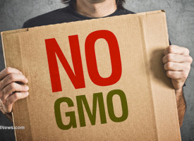 Scotland to ban GMOs to protect citizens' health; US government refuses to label GMOs despite support from 93% of citizens