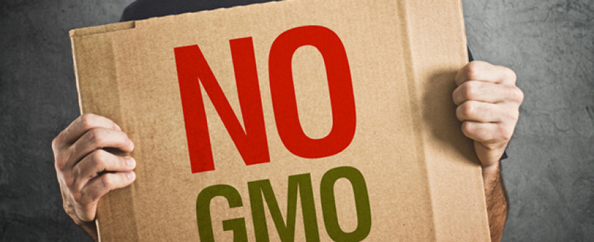 Scotland to ban GMOs to protect citizens' health; US government refuses to label GMOs despite support from 93% of citizens