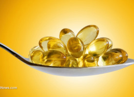 STUPID: Washington Post claims omega-3s are useless; science shows they improve diabetes, brain health and more