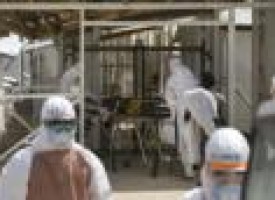 New Sierra Leone Ebola cases frustrate efforts to end outbreak