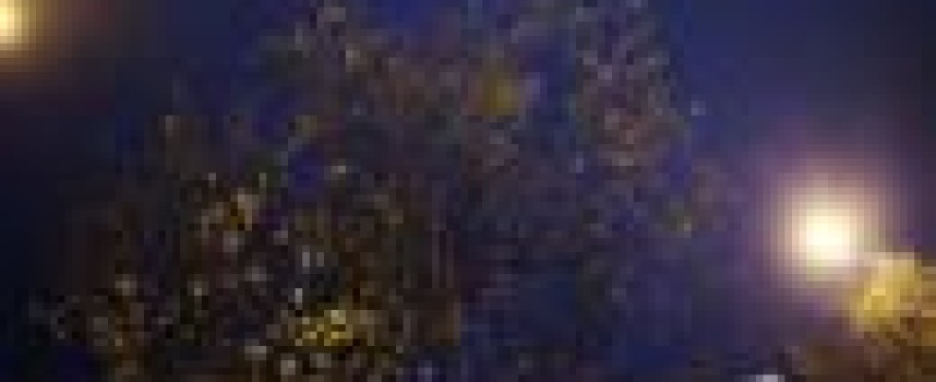 Glencore shares halt slide, broker recommends going private