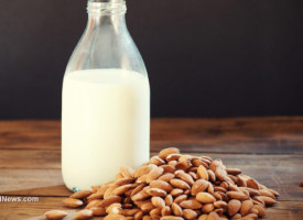 Commercial almond milk exposed as fake beverage thickened with carrageenan instead of almonds