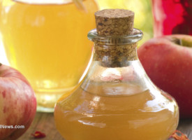 Amazing health benefits of apple cider vinegar and honey