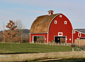 California to nationalize private farm land to build water tunnels to support Leftist desert cities amid drought