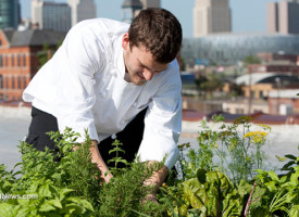 France's initiatives for better health and a better environment