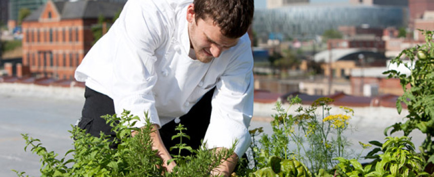 France's initiatives for better health and a better environment