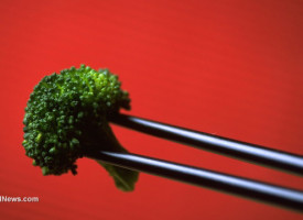 Broccoli extract found to significantly improve autism symptoms; sulforaphane molecule is powerful natural medicine