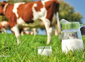 Florida orders dairy to mislabel all-natural skim milk with "imitation" label to mislead consumers