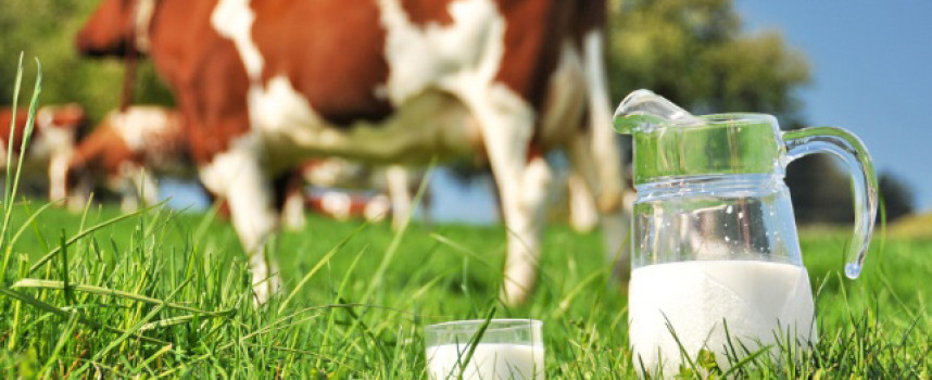 Florida orders dairy to mislabel all-natural skim milk with "imitation" label to mislead consumers