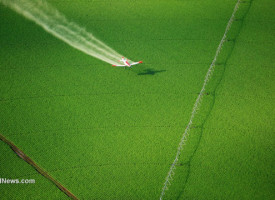 Is geoengineering contributing to global crop failure?