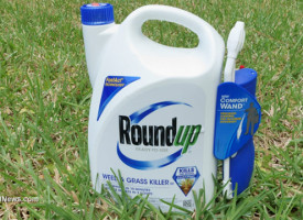 Monsanto's Roundup herbicide disrupts hormones – even with glyphosate exposures below regulation limits