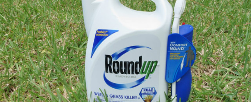 Monsanto's Roundup herbicide disrupts hormones – even with glyphosate exposures below regulation limits