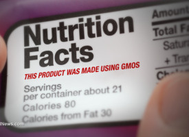 Big Food corporations, Wall Street buying up natural brands to silence support for GMO labeling