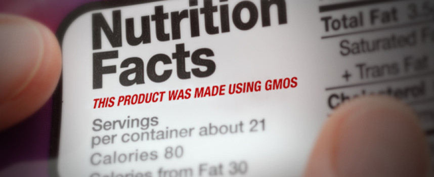 Big Food corporations, Wall Street buying up natural brands to silence support for GMO labeling