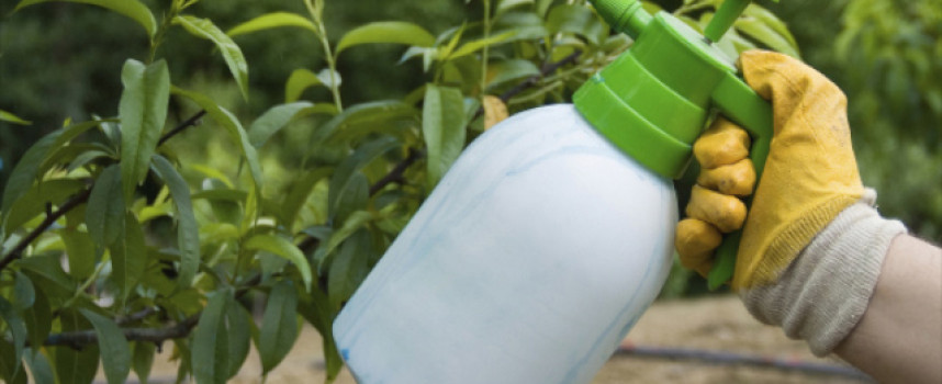 Pesticides in the home will raise your child's risk of getting cancer