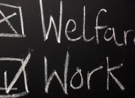 The truth comes out about immigrants: More than 50% are on welfare