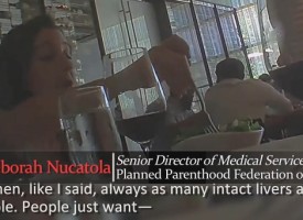 Planned Parenthood ex-employee spills all: Abortion group disguises illegal organ harvesting as 'fetal tissue studies'