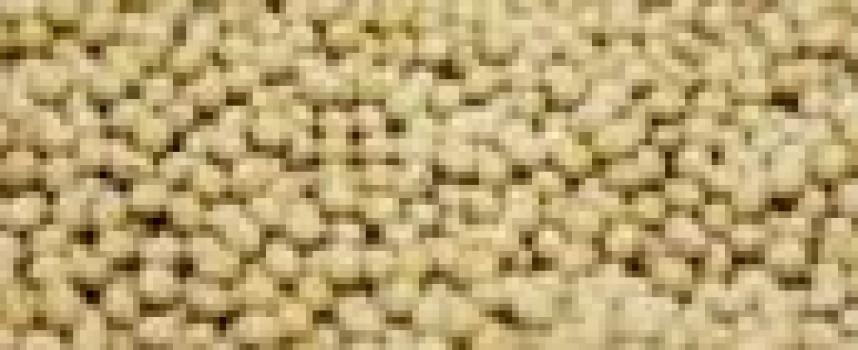 Monsanto slashing 2,600 jobs, buying back shares as sales fall