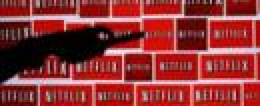 Netflix blames weak U.S subscriber adds on new chip-based cards