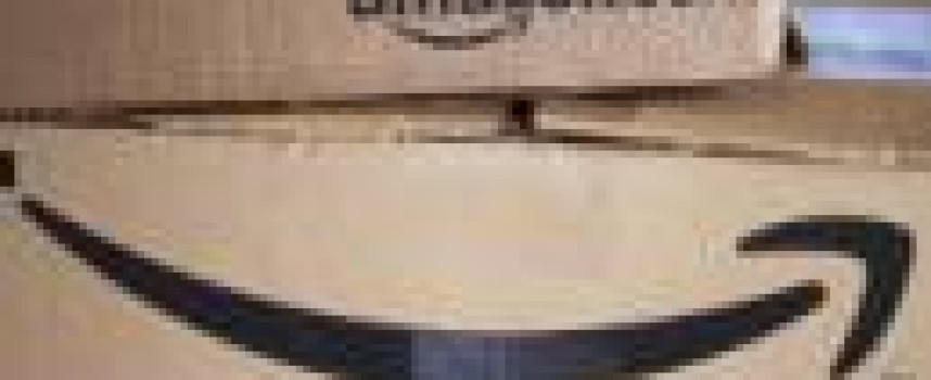 Amazon poised to win big as India launches annual festive shopping spree