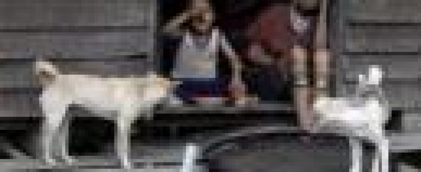 Changes sweep through remote Myanmar village ahead of election