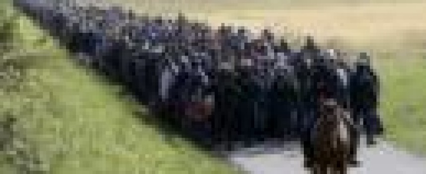 Slovenia deploys army at border as thousands of migrants seek to transit