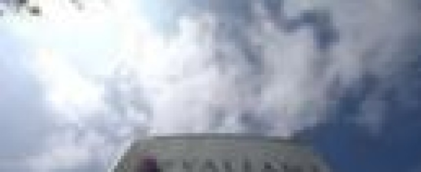 Valeant shares plunge on short-seller scrutiny of pharmacy ties