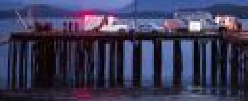 Whale-watching boat sinks off Canadian coast, killing passengers