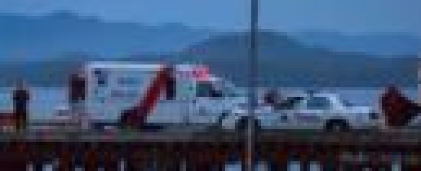 Five Britons killed in sinking of Canada whale-watching boat