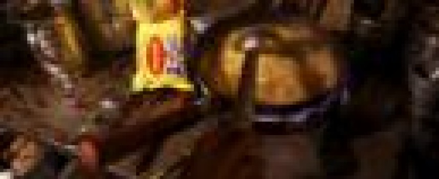 Nestle plans to resume Maggi sales in India next month: spokesman