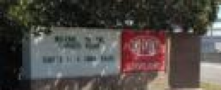 DuPont in M&A talks with rivals for farm unit: interim CEO