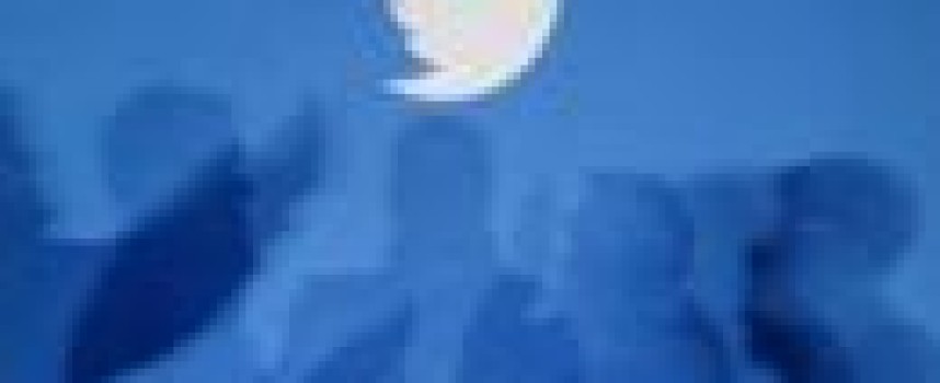 Twitter's results show its turnaround Moment still far off