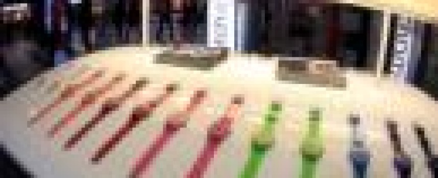 Swatch CEO sees 2016 Swiss launch for pay watch: newspaper