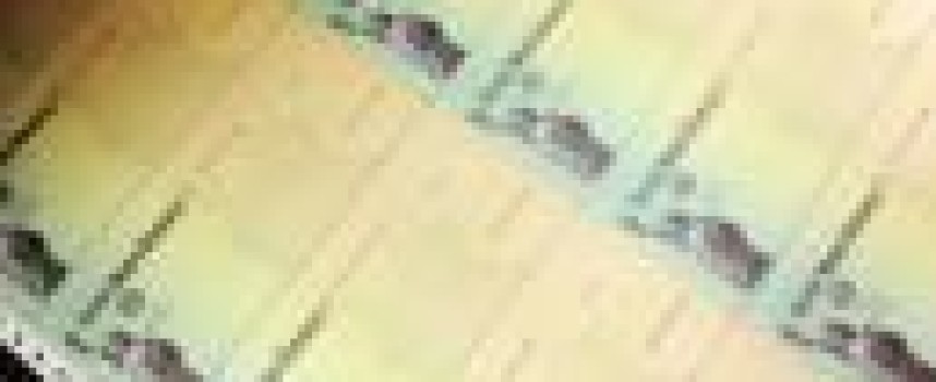 Live: Budget closes Social Security loophole; Nike's localized ad campaign