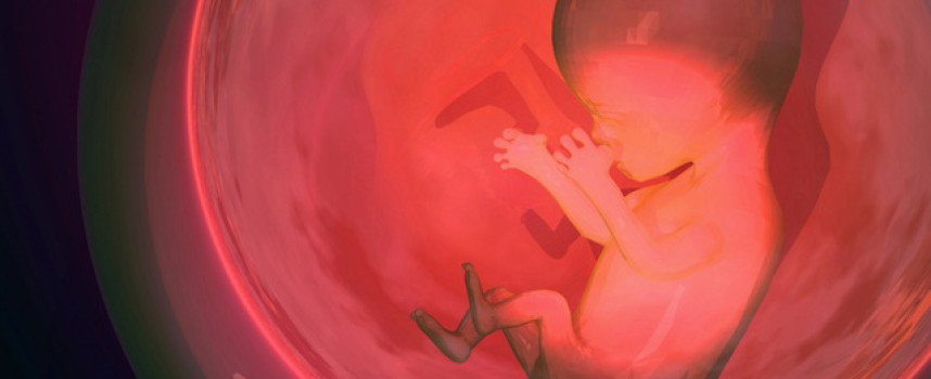 Bill Nye's logic: Rape, murder and pedophilia should be legal because 'You can't tell people what to do!'