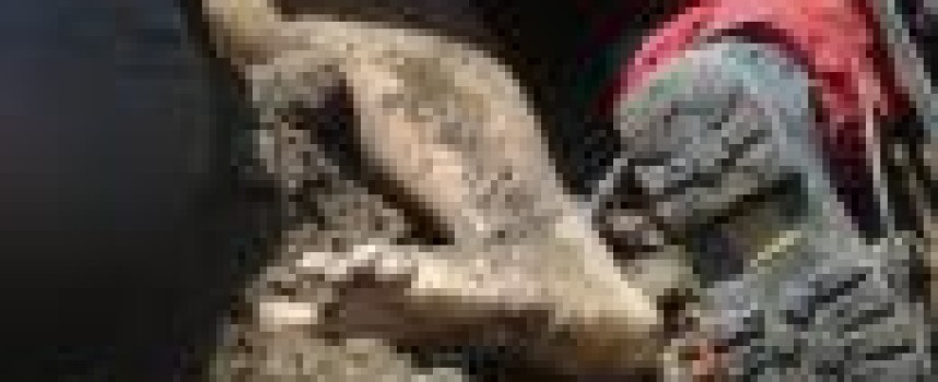 Guatemalan mudslide death toll reaches 69, hundreds missing