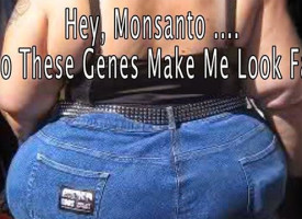 Those Monsanto genes