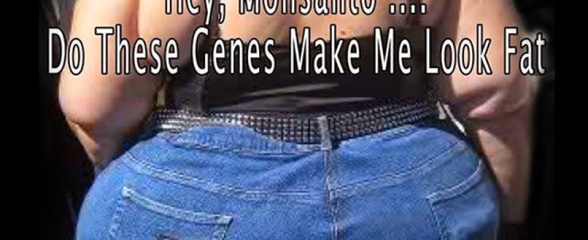 Those Monsanto genes