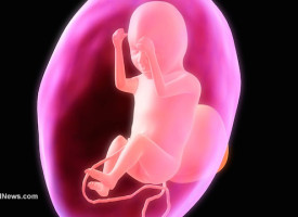 Aborted baby parts now being sold for 'science' experiments by multi-million-dollar company