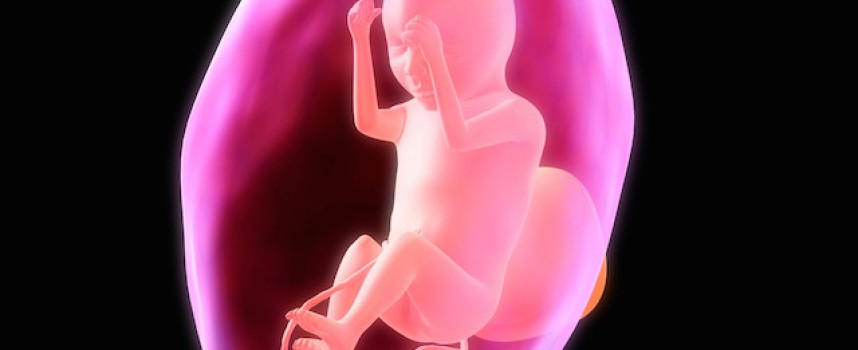 Aborted baby parts now being sold for 'science' experiments by multi-million-dollar company